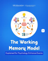 Working Memory Model.pdf